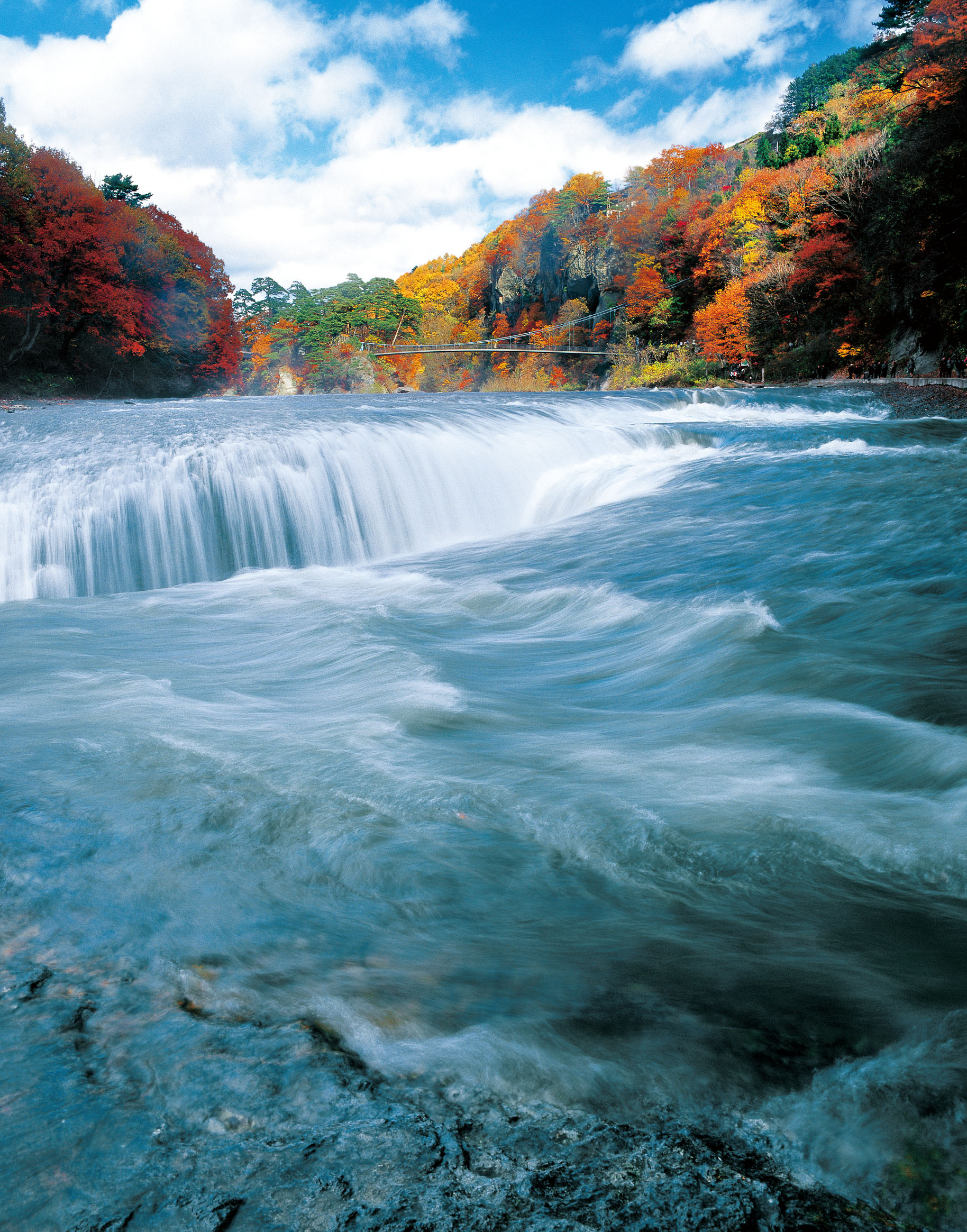 Fukiware Falls in autumn. A gorge colored by brocades enhances the magnificent stream.